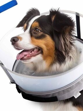 Pet Recovery Cone for Dogs - White
